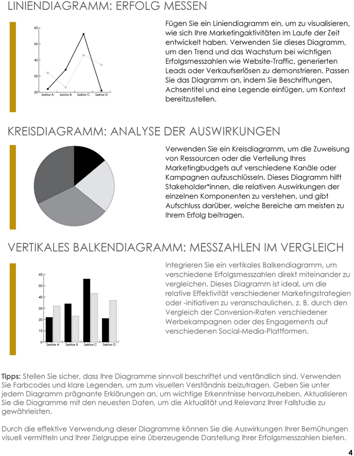 vorlage-fuer-eine-projektfallstudie