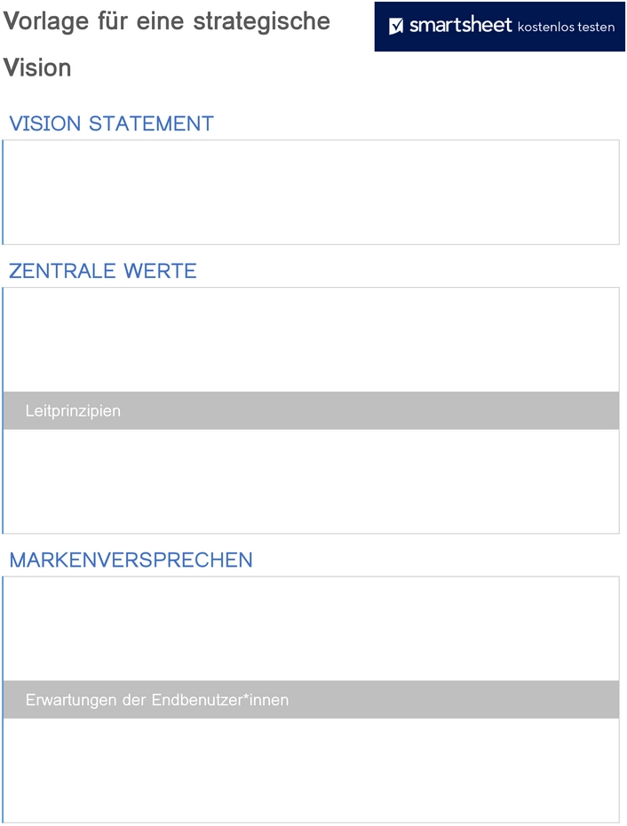 vorlage-fuer-eine-strategische-vision