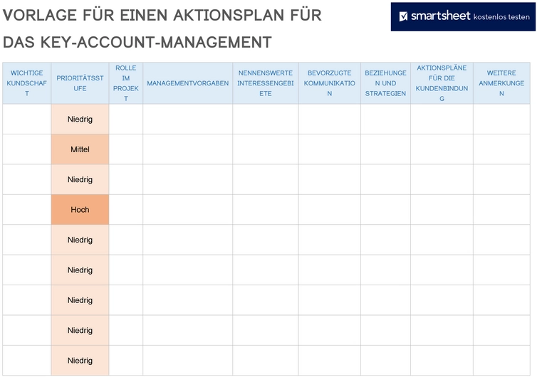 vorlage-fuer-einen-aktionsplan-im-key-account-management