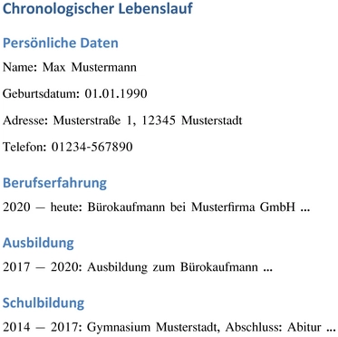 vorlage-fuer-einen-chronologischen-lebenslauf