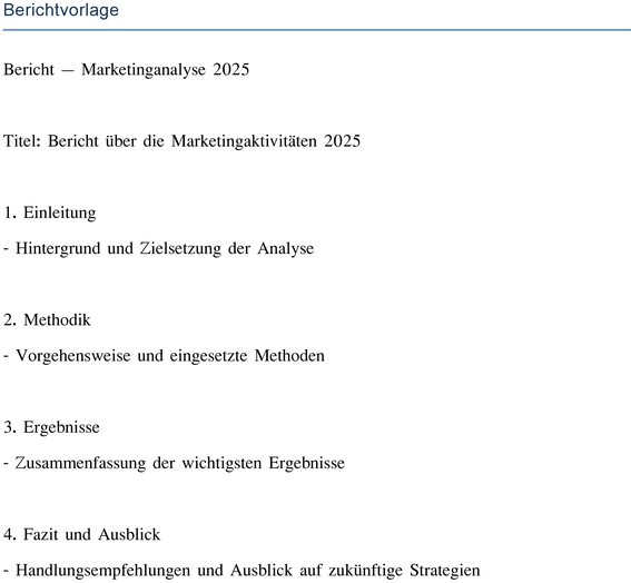 vorlage-fuer-marketinganalyse-2025