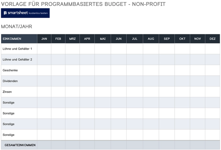 vorlage-fuer-programmbasiertes-budget-non-profit
