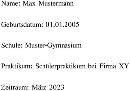 vorlage-fuer-schuelerpraktikum-mit-details-und-informationen