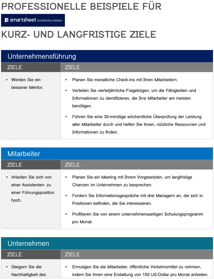 vorlage-fuer-zielsetzung-und-mitarbeiterentwicklung
