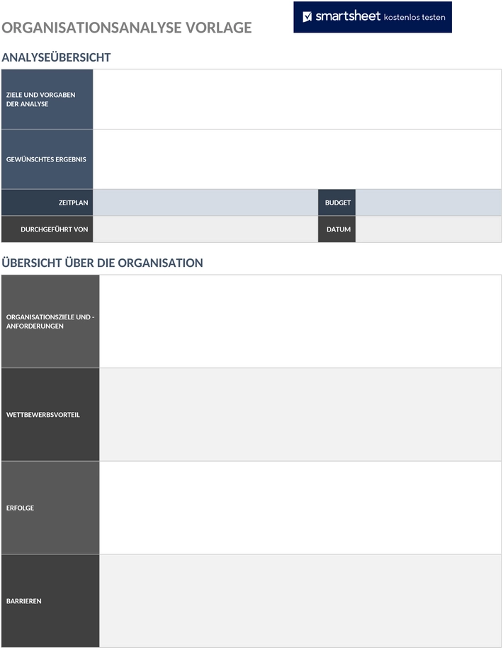 vorlage-organisationsanalyse-business
