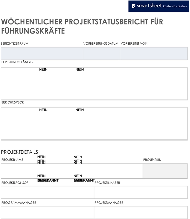 vorlage-woechentlicher-projektstatusbericht