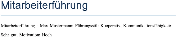 vorlage-zur-mitarbeiterfuehrung-gestalten