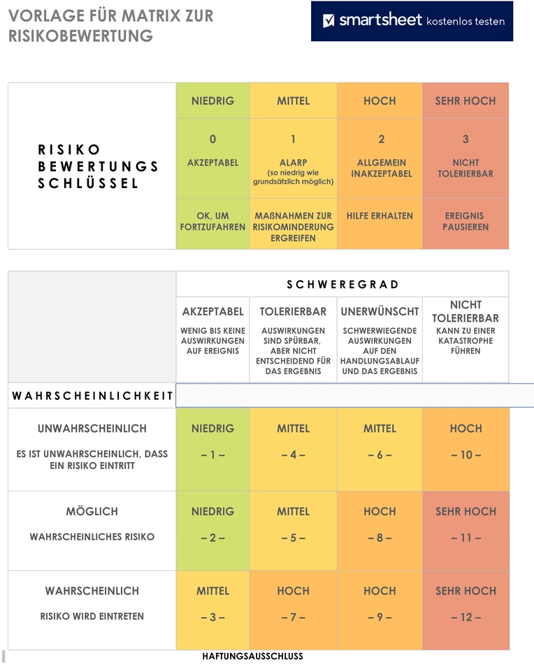 vorlage-zur-risiko­bewertung-fuer-projekte-und-organisationen