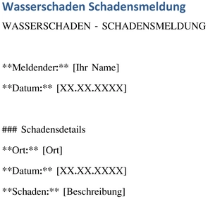 wasserschaden-schadenmeldung-vorlage-fuer-privatpersonen