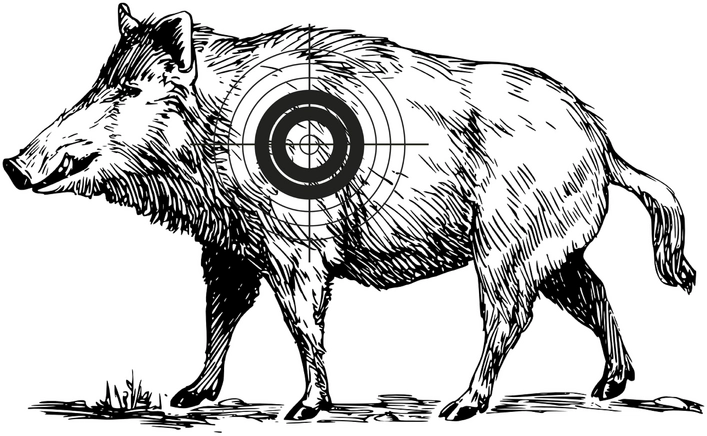 wildschwein-zielscheibe-vorlage