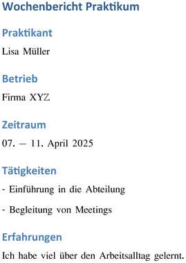 wochenbericht-praktikum-strukturierte-dokumentation-von-erfahrungen