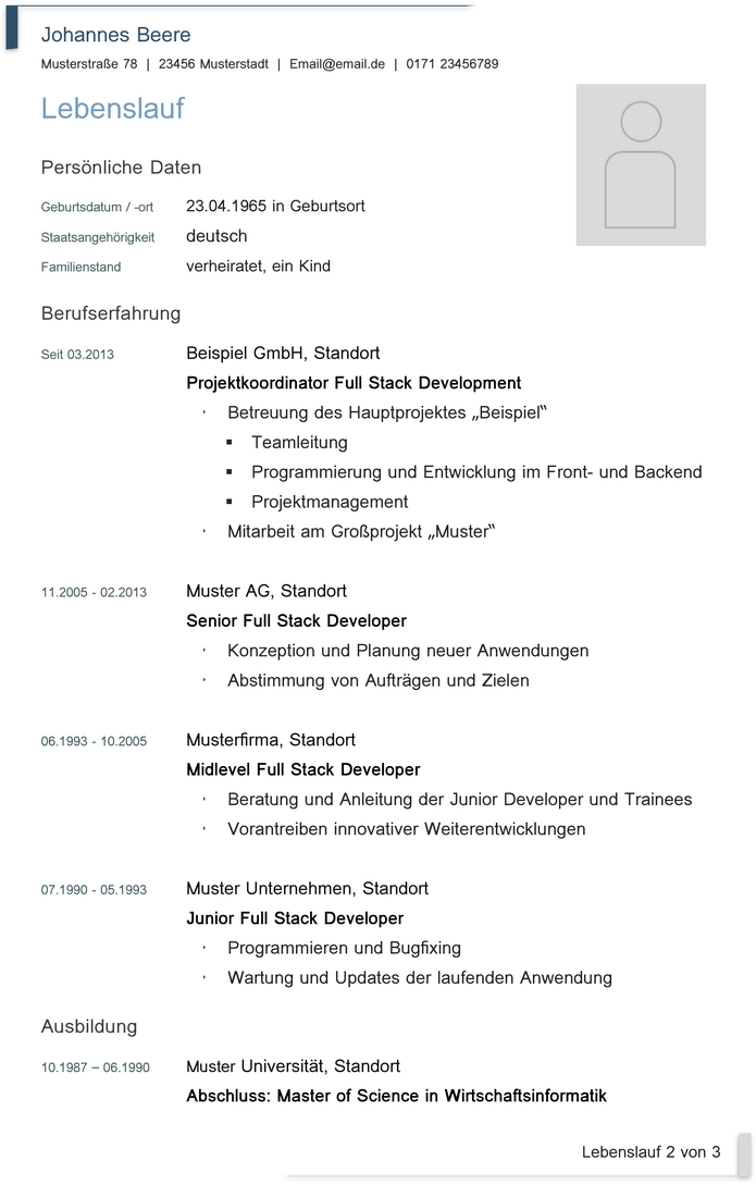 word-lebenslauf-vorlage-fuer-it-positionen