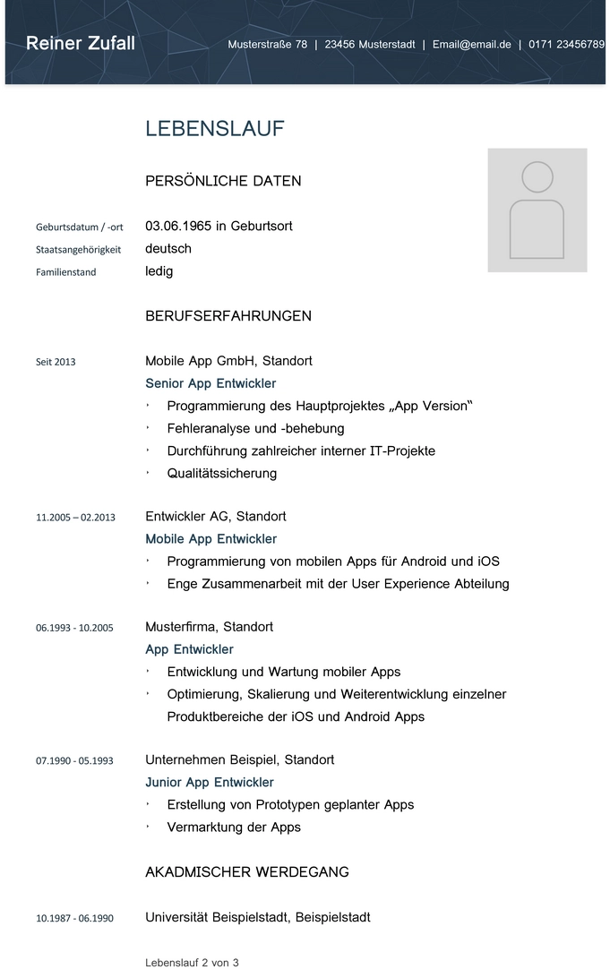 word-lebenslauf-vorlage-fuer-softwareentwickler