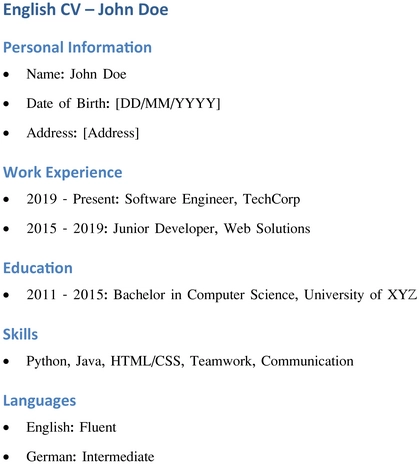 word-lebenslauf-vorlage-fuer-softwareentwickler