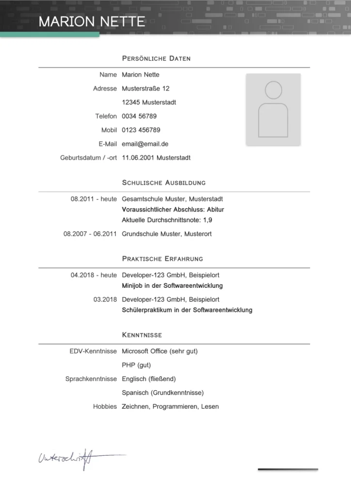 word-lebenslauf-vorlage-fuer-softwareentwickler