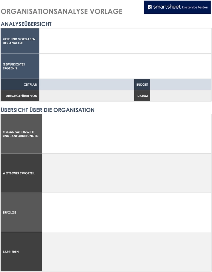 word-organisationsanalyse-vorlage-fuer-strategische-planung