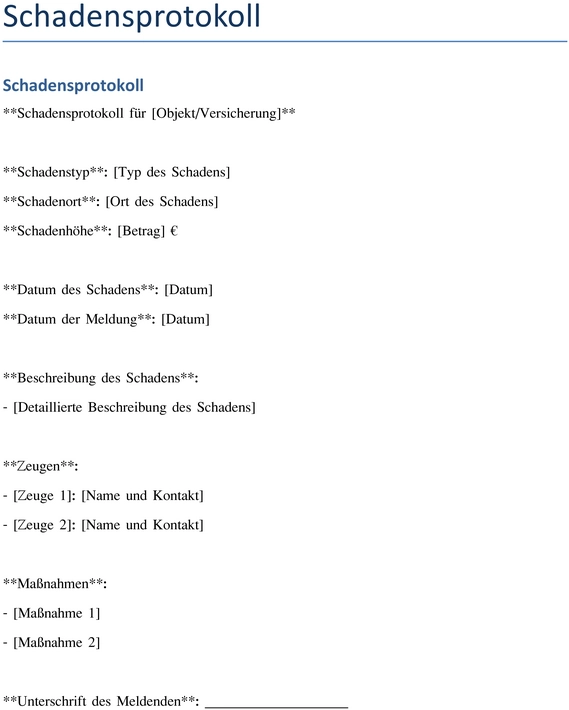 word-schadensprotokoll-vorlage-fuer-die-dokumentation-von-schaeden