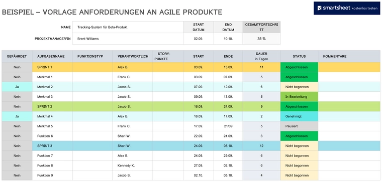 word-vorlage-agile-produktanforderungen-projektmanagement