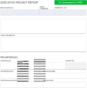 word-vorlage-executive-project-report-fuer-projektanalyse-und-kommunikation