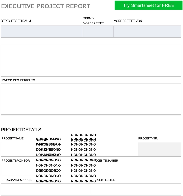 word-vorlage-executive-project-report-zur-projektsteuerung