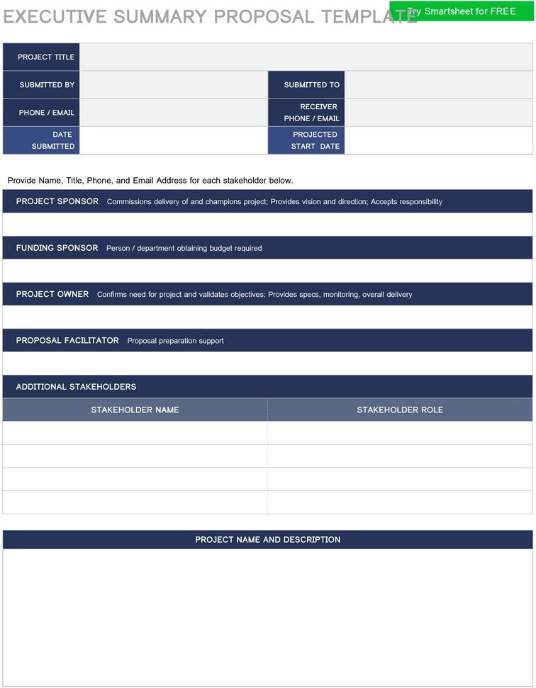 word-vorlage-executive-summary-proposal-zur-projektpraesentation