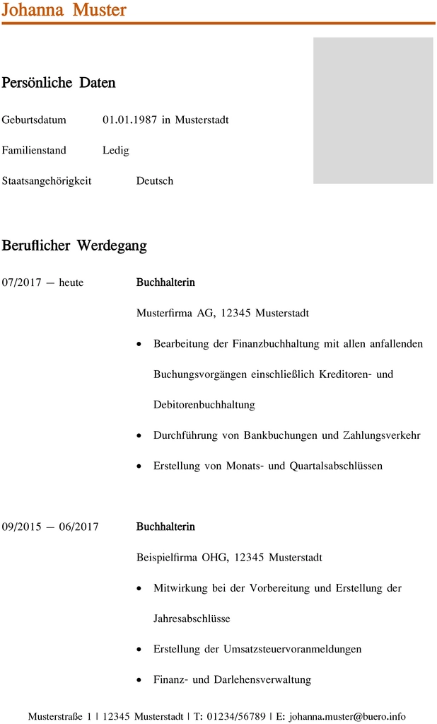 word-vorlage-fuer-buchhalter-buchhalterin-lebenslauf