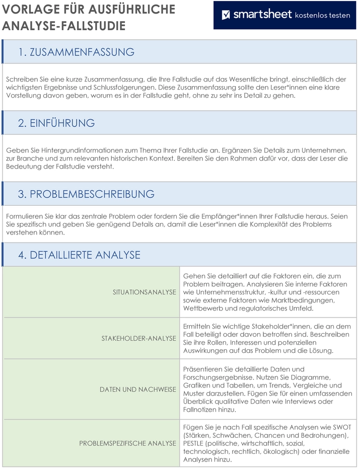 word-vorlage-fuer-detaillierte-analyse-fallstudie