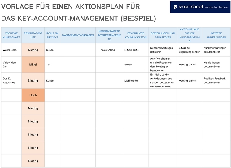word-vorlage-fuer-einen-aktionsplan-im-key-account-management