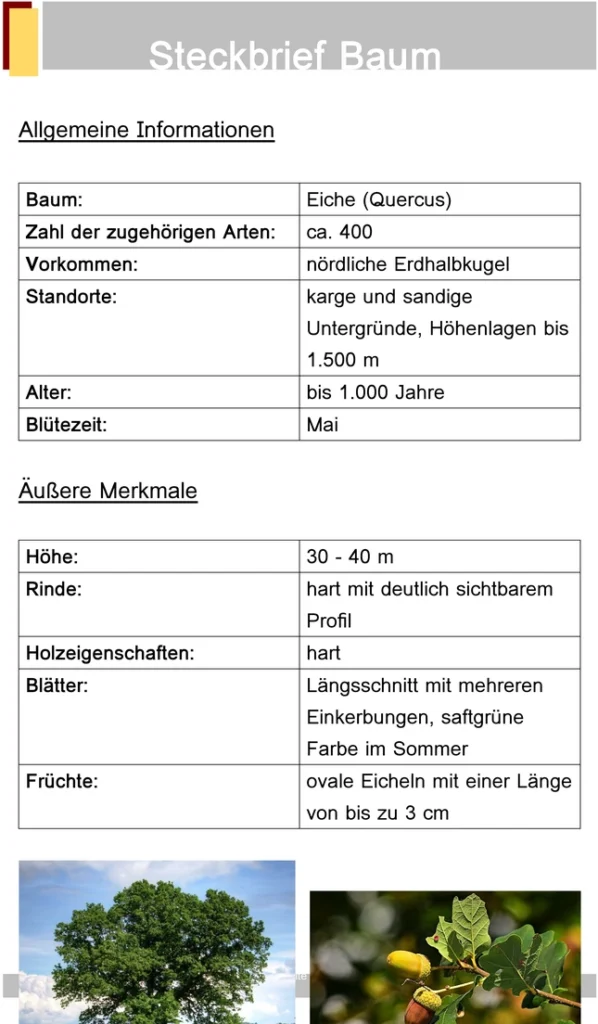 word-vorlage-fuer-freizeitaktivitaeten-und-reisen