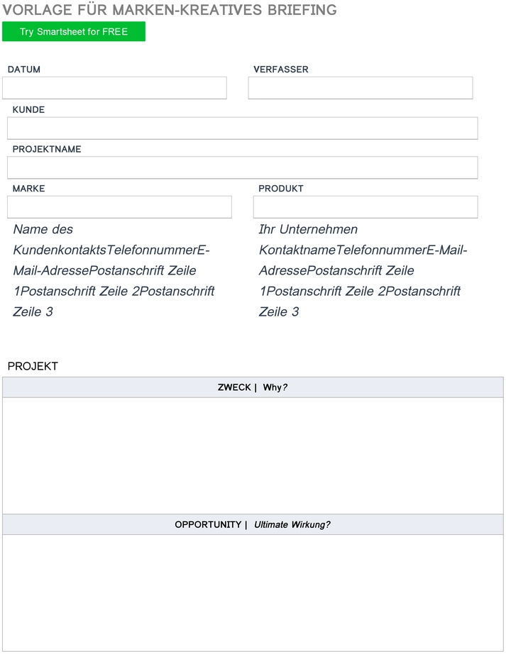 word-vorlage-fuer-kreatives-briefing-im-marketing