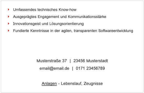 word-vorlage-fuer-professionelle-bewerbungen-softwareentwickler
