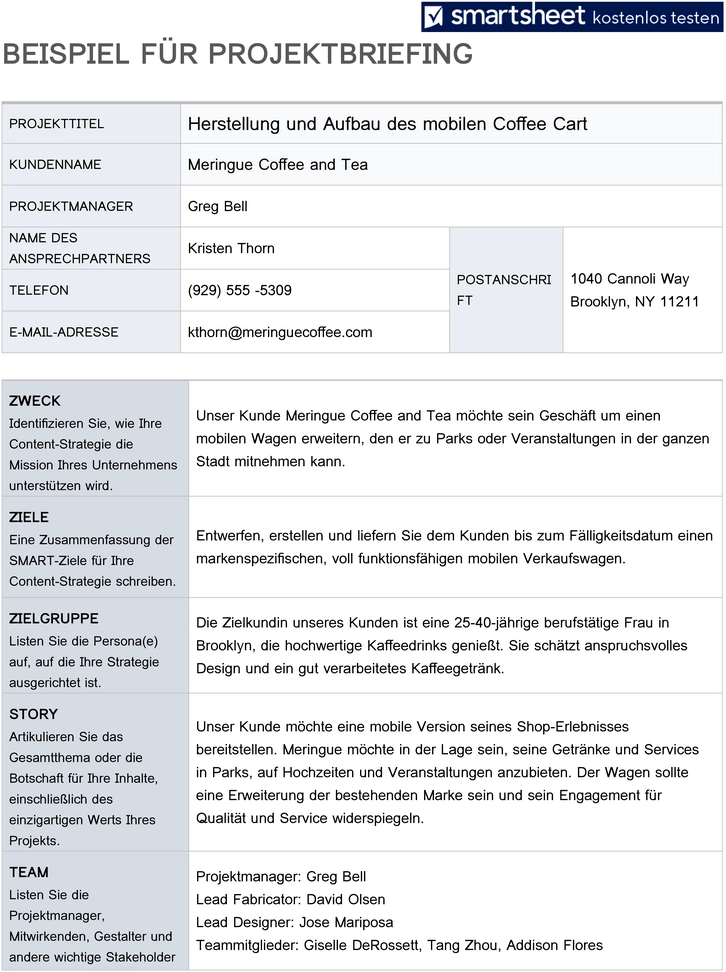 word-vorlage-fuer-projektbriefing-zur-erstellung-von-projektplaenen