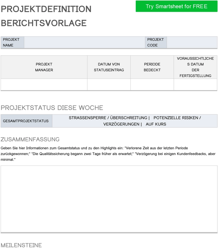 word-vorlage-fuer-projektdefinition-und-berichterstattung