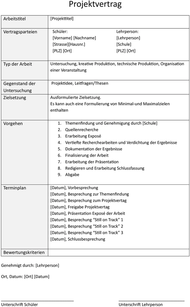 word-vorlage-fuer-projektvertrag-mit-zielsetzung-und-ablaufplan