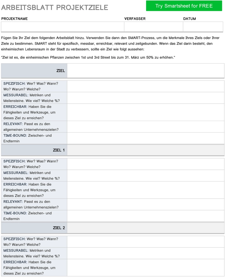 word-vorlage-fuer-projektziele-nach-dem-smart-prinzip