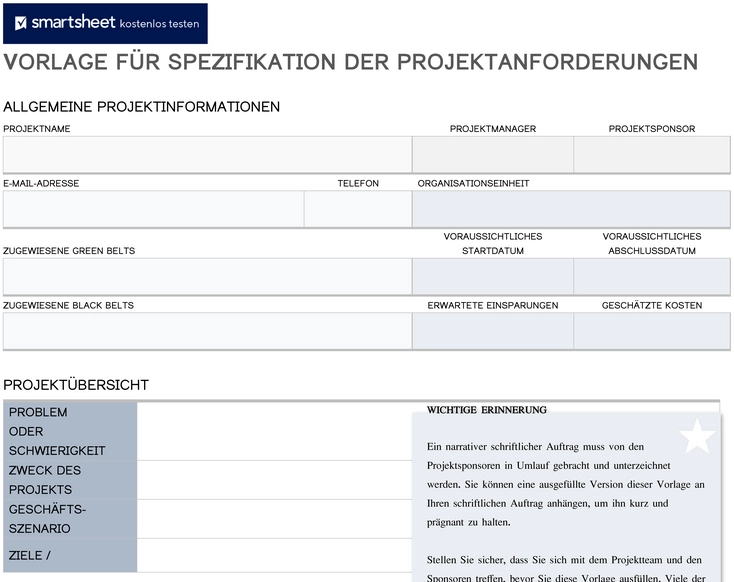 word-vorlage-fuer-spezifikation-der-projekterfordernisse