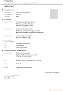 word-vorlage-lebenslauf-fuer-bewerbungen-und-dokumentationen