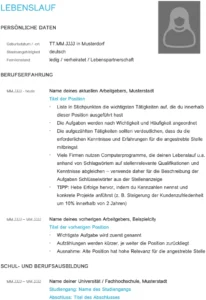 word-vorlage-lebenslauf-mit-personlichen-daten-und-beruflicher-erfahrung