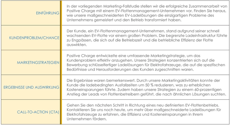 word-vorlage-marketing-fallstudie-effiziente-ladeloesungen-fuer-elektroflotten