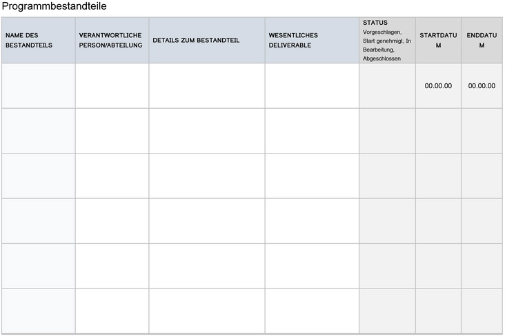 word-vorlage-programmmanagement-plan-und-projektsteuerung