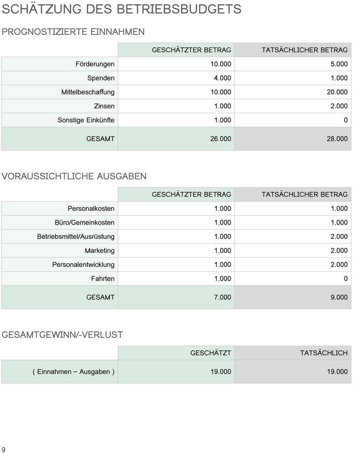 word-vorlage-strategieplan-gemeinnuetzig-organisationen